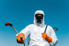 Best Bee and Wasp Removal  in Wyong, MI